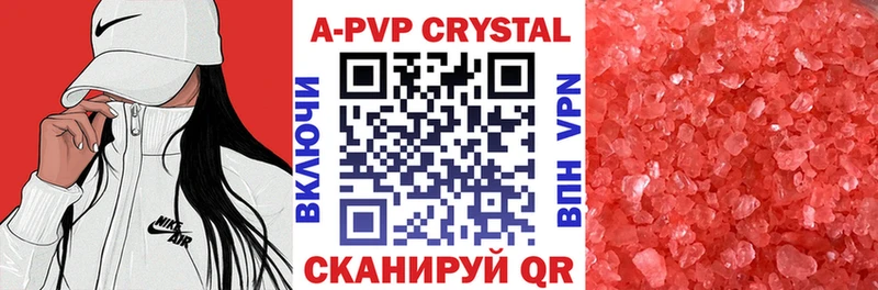 darknet телеграм  MEGA ТОР  Томмот  Альфа ПВП СК 
